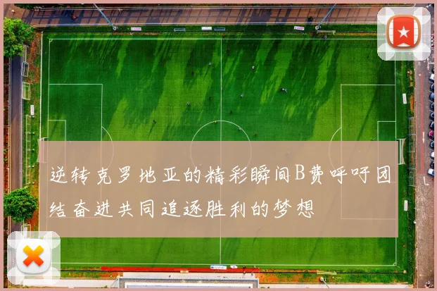 逆转克罗地亚的精彩瞬间B费呼吁团结奋进共同追逐胜利的梦想